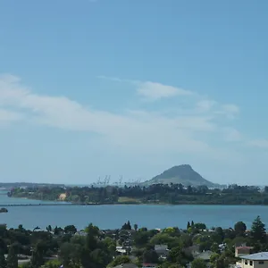 Up In The Stars , Tauranga New Zealand